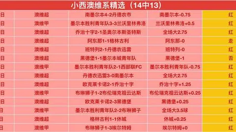中超两场全胜分析：辽宁战术抉择决定胜负关键